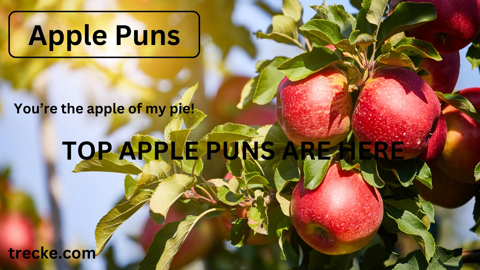 Apple Puns