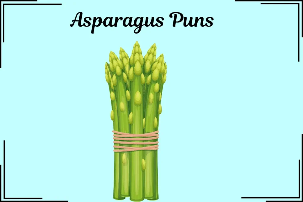 Asparagus Jokes
