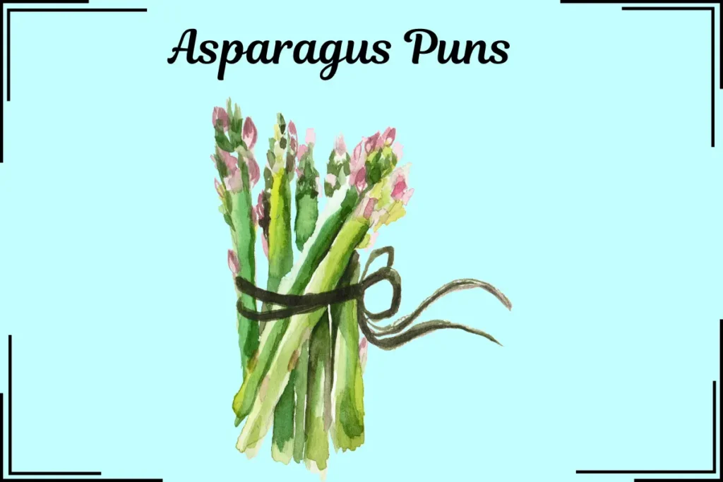 Asparagus Jokes