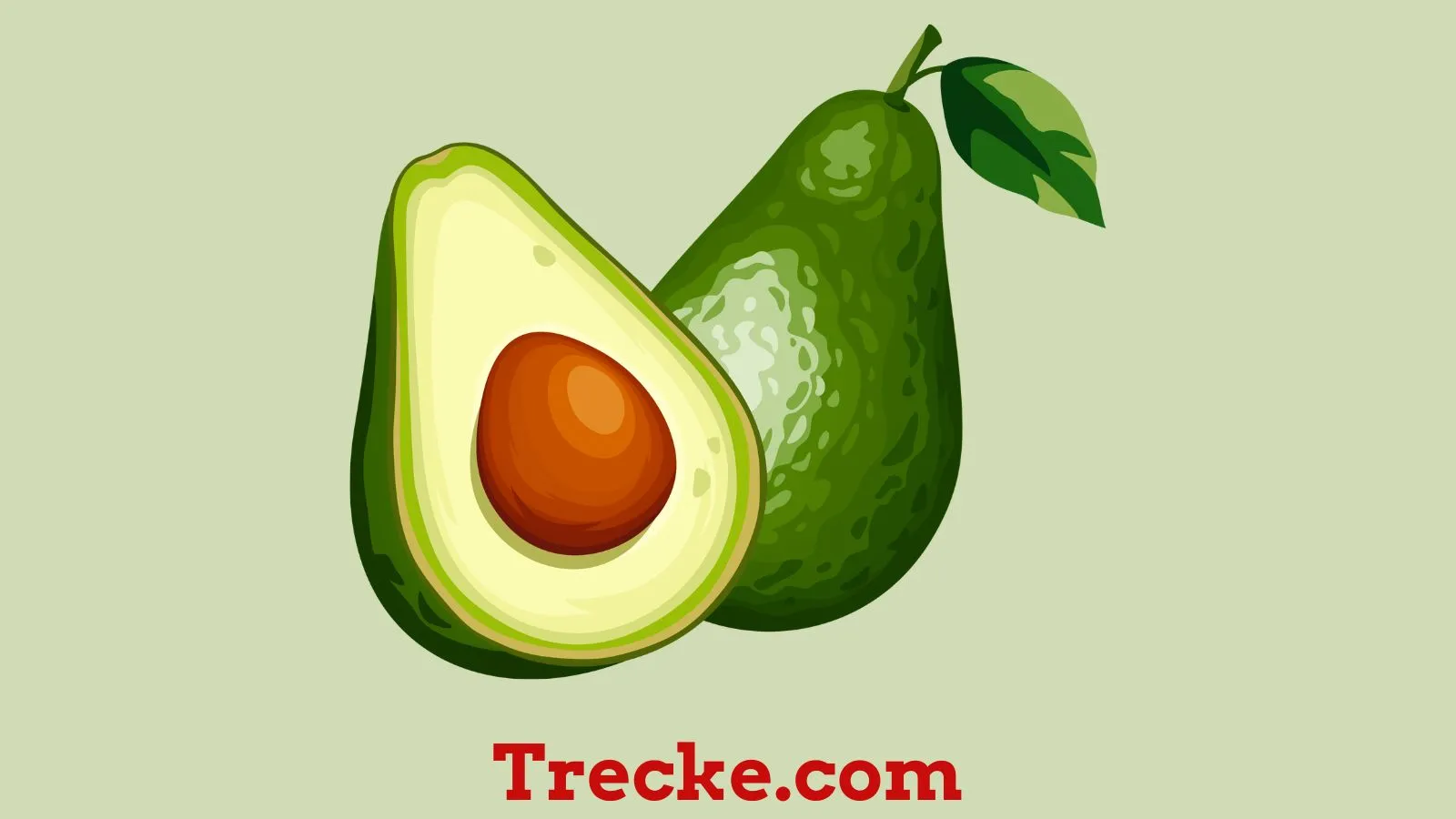 Avocado Puns