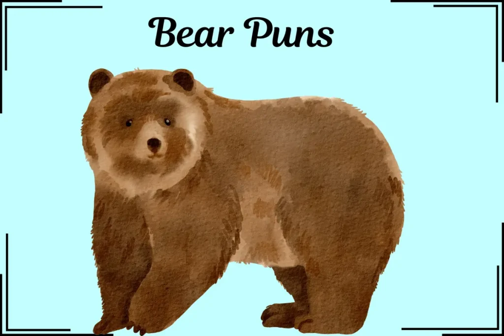 Bear Puns
