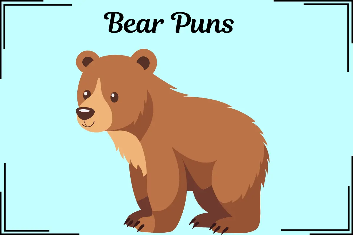 Bear Puns