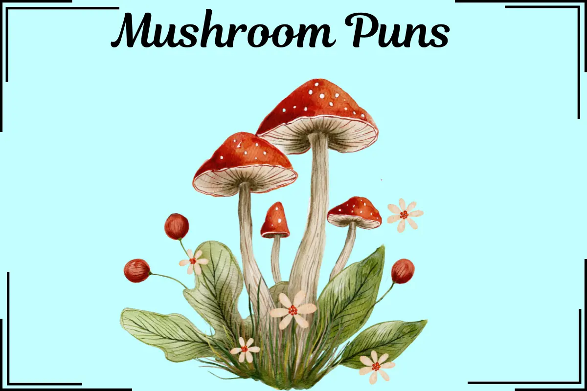 Mushroom Puns