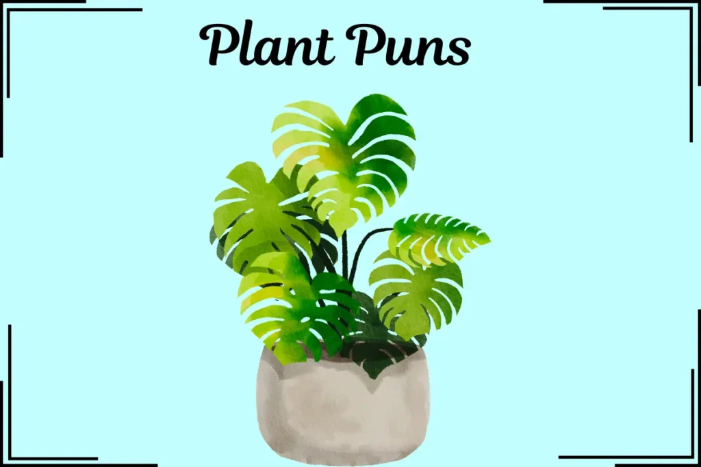 Plant Puns