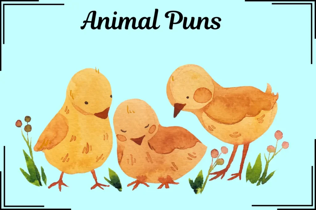 animal puns