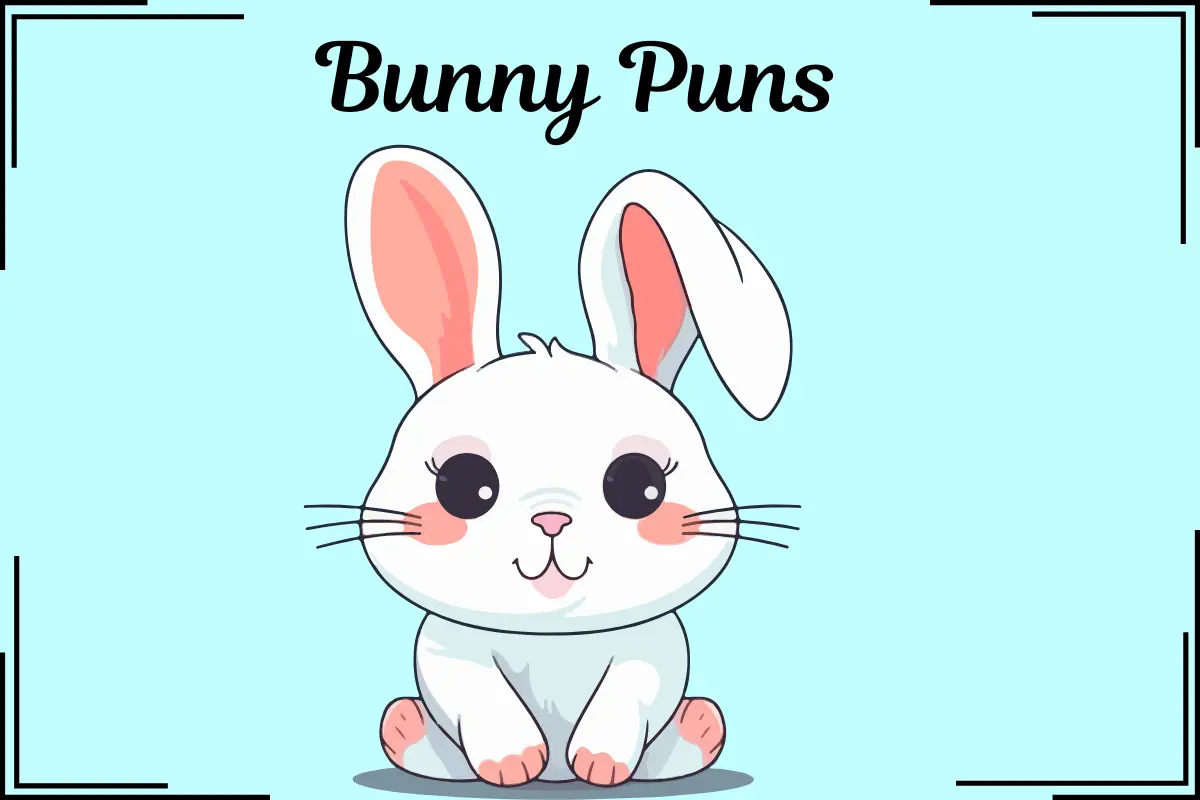 Bunny Puns