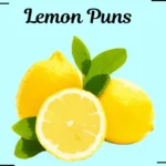 Lemon Puns