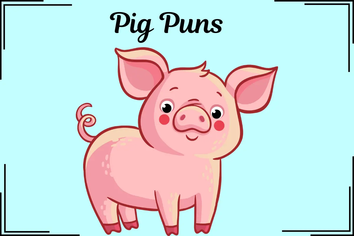Pig Puns