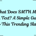 what does smth mean in text