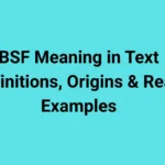 BSF Meaning in Text