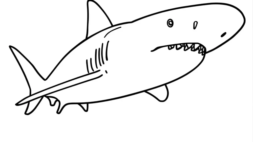 Hammerhead Shark Coloring Pages