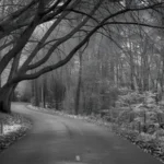 black and white caption