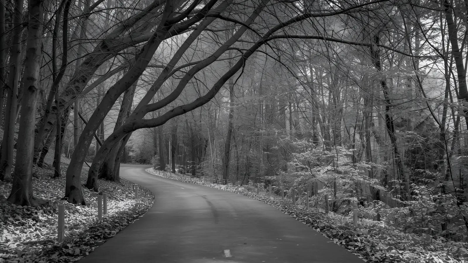 black and white caption