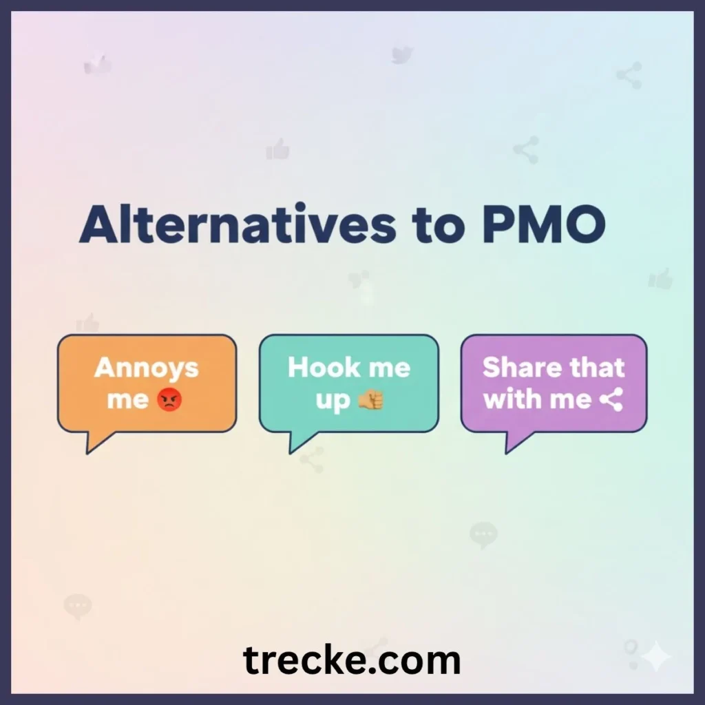 Alternatives & Synonyms for PMO