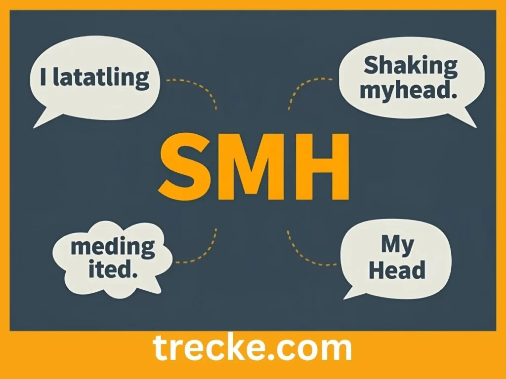 Definition & Meaning