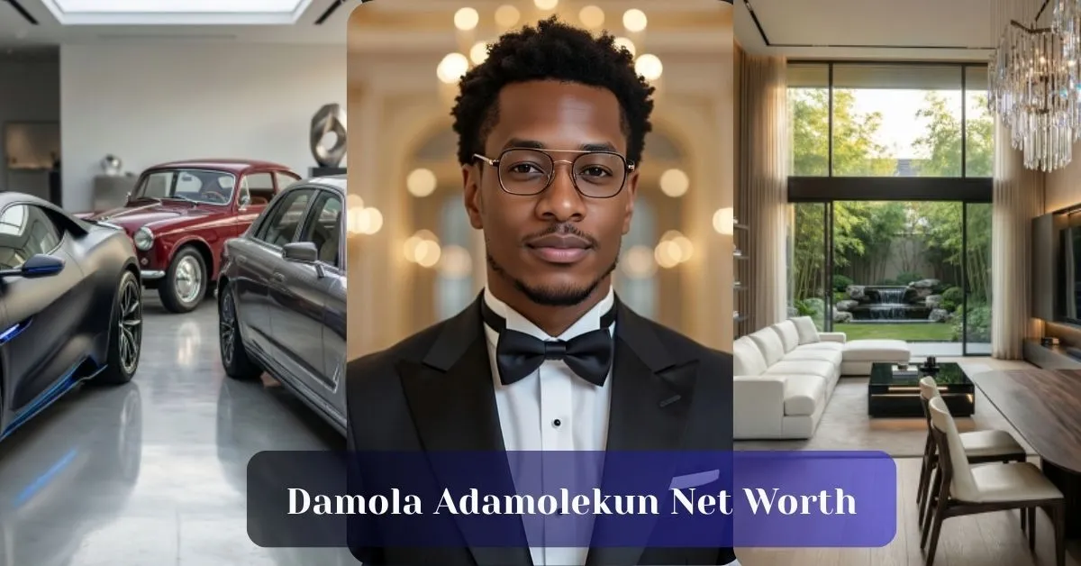 Damola Adamolekun Net Worth